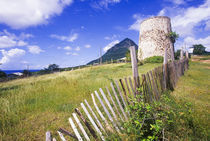 Gros Piton view along the historic trail in Choiseul, St Lucia, Caribbean von Danita Delimont