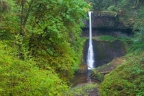Middle falls Silver Falls State Park east of Salem Oregon von Danita Delimont