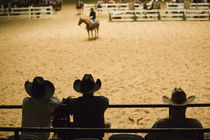 USA-TEXAS-Fort Worth: Cowboys at Indoor Rodeo (NR) Will Rogers Memorial Center von Danita Delimont