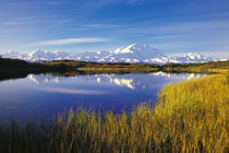 NA, USA, Alaska, Denali NP Mt. McKinley in Reflection Pond, autumn colors by Danita Delimont