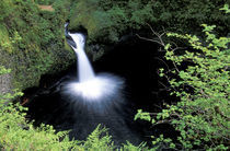 N.A., USA, Oregon, Columbia River Gorge National Scenic Area Punchbowl Falls von Danita Delimont