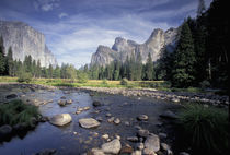 NA, USA, California, Yosemite NP Valley view by Danita Delimont