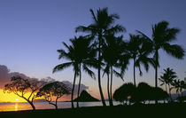 Sunrise Chinamans Hat Kaneohe Bay Kaneohe Oahu Hawaii by Danita Delimont