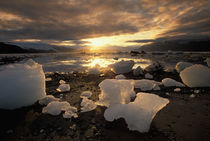 North America, USA, Alaska, Ice Bay, Icescape, landscape by Danita Delimont