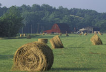 NA, USA, Kentucky, Greenup Hay bales and red barn von Danita Delimont