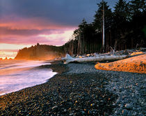 USA, Washington State,Waves lap the rocky beach at sunset at Rialto Beach by Danita Delimont