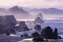 Morning mist along Oregon coast near Nesika, Beach, Oregon. by Danita Delimont