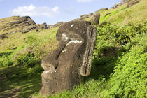 Moai by the quarry in the crater of Rano Raraku Volcano, Rapa Nui by Danita Delimont