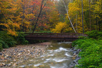 USA, Vermont, Graton, Saxton's River Bridge. by Danita Delimont