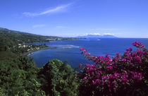 Beautiful colorful scene of Polynesia from Tarahaa in Tahiti French Polynesia by Danita Delimont