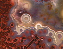 USA, Oregon, Close-up of cross section pattern in Mexican crazy lace agate von Danita Delimont