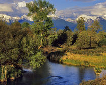 Mission Creek in the National Bison Range in Montana von Danita Delimont