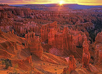 United States, Utah, Bryce Canyon National Park by Danita Delimont