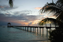Le Maitai Dream Fakarava Resort.  Fakarava, Tuamotus, French Polynesia von Danita Delimont