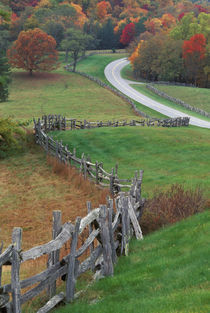 USA, North Carolina, Blue Ridge Parkway by Danita Delimont