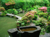 Asia, Japan, Kyoto. Zen Garden by Danita Delimont