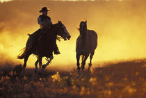 NA, USA, Oregon, Seneca, Ponderosa Ranch Cowboy and horse at sunset  MR PR von Danita Delimont