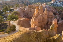 Hiker on Queens Garden Trail in Bryce Canyon National Park in Utah by Danita Delimont