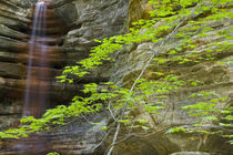 Waterfall in St Louis Canyon at Starved Rock State Park in Illinois by Danita Delimont