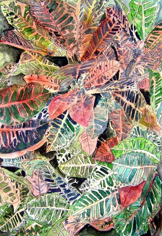Croton-plant-painting