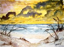 beach sand dunes von Derek McCrea