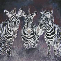 zebra art print von Derek McCrea
