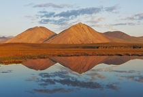 Peak Reflections, ANWR, Alaska von Stephen Weaver