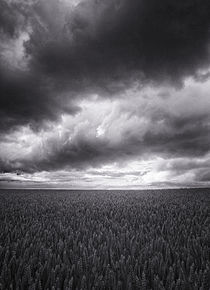 Summer Storm by Geoff du Feu