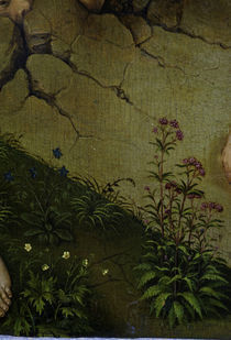R.v.d. Weyden, Bluehende Pflanzen von klassik-art