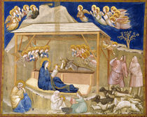 Giotto di Bondone/Die Geburt Christi by klassik art