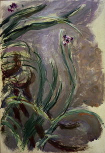 Claude Monet, Schwertlilien by klassik art