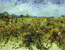 V.van Gogh, Der gruene Weingarten by klassik art