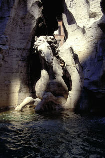 Rom, Fontana dei Fiumi, Hippokamp / Foto von klassik-art