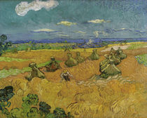 V.v.Gogh, Ernte (Toledo) by klassik-art