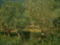 A.Sisley, Weiden am Ufer der Orvanne von AKG  Images