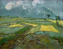 V.v.Gogh, Weizenfelder in Auvers by klassik-art