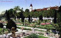 Mainau, Rosengarten / Photochrom 1912 by klassik-art