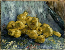 v.Gogh, Quittenstilleben by klassik art