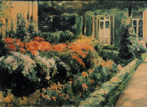 M.Liebermann, Blumenstauden von klassik art
