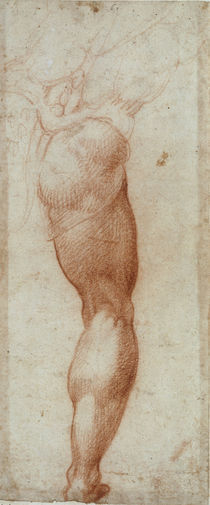 A.Bronzino, Maennliches Bein von klassik-art