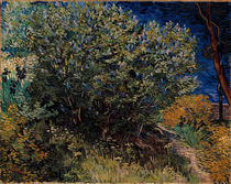 V.v.Gogh, Fliederstrauch by klassik-art