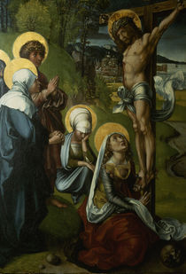 Albrecht Duerer, Christus am Kreuz von klassik-art