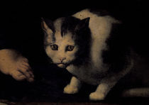 Giulio Romano, Katze von klassik-art
