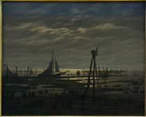 C.D.Friedrich, Sumpfiger Strand by klassik-art