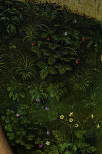 R.v.d. Weyden, Bluehende Pflanzen by klassik art