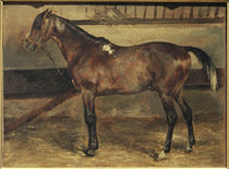 Th.Gericault, Braunes Pferd im Stall von klassik art