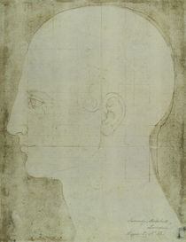 A.Duerer, Kopf eines Mannes im Profil von klassik art