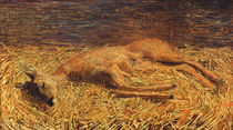 Giovanni Segantini, Totes Reh by klassik-art
