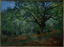 C.Monet, Die Bodmer by klassik-art