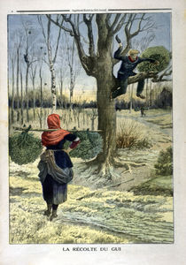 Mistelernte / aus: Petit Journal von klassik-art